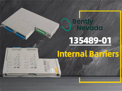 Всё, что вам нужно знать о внутренних ограждениях Bently Nevada 135489-01